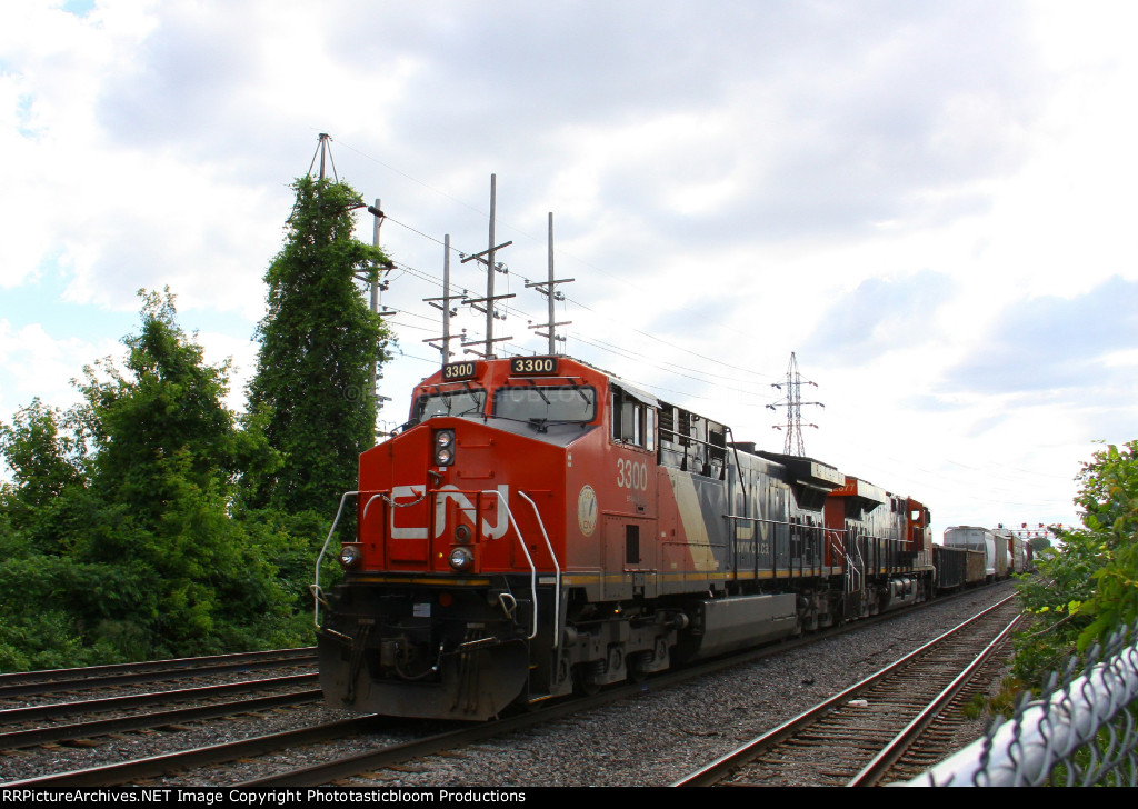 CN 3300